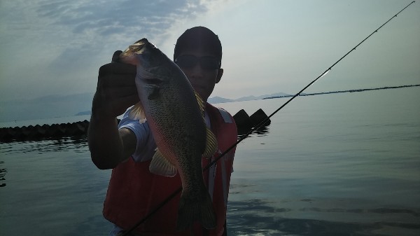 6月の琵琶湖へブラックバス釣行で完全試合フルボッコ 番外編